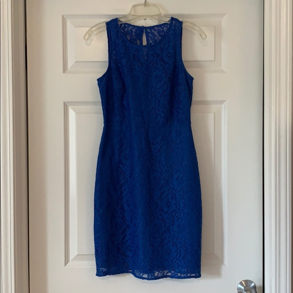 Jcrew Factory lace overlay dress